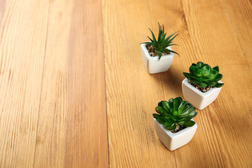 Pots with succulents on wooden table