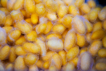 the yellow pattern with silkworm cocoon