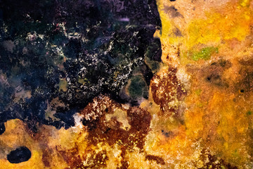 Biological abstract background made by fungus and decomposition. brown, green and dark color from the earth as multicolor texture similar to a geographic map