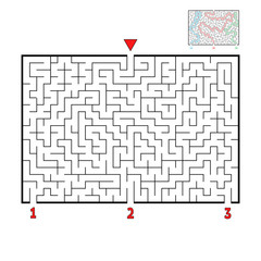 Abstract rectangular large maze. Game for kids and adults. Puzzle for children. Find the right way out. Labyrinth conundrum. Flat vector illustration.