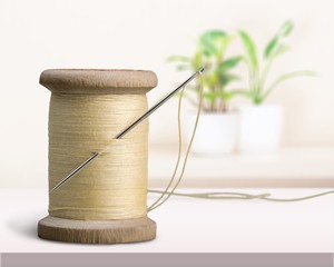 Spool of Thread and Needle