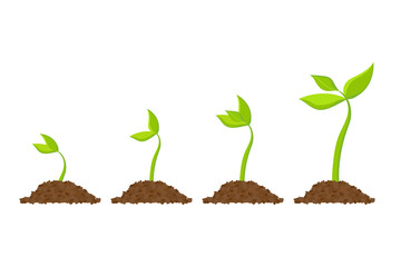 Simple sprouting seed drawing. Sprout, plant, tree growing agriculture icons. Vector illustration