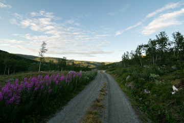 Straße an der Heide