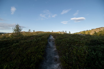 Weg in die Abendstimmung