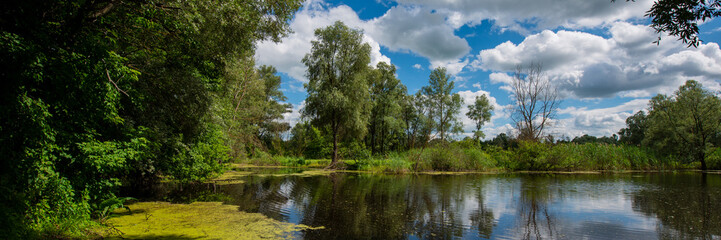Fototapeta na wymiar river and forest along the river bank, countryside, panorama. Web banner.