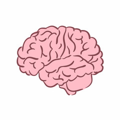 Illustration of a human brain