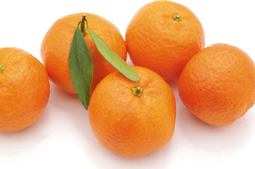 Group orange mandarins.