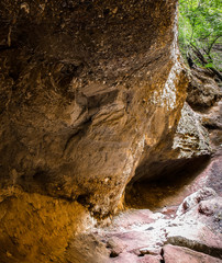 Canyon wall in the forest at summer