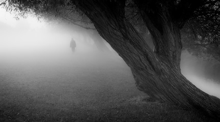 Spooky Image in Fog