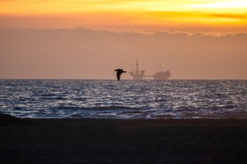 Fototapeta premium Orange sunset off the coast of Southern California