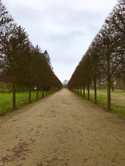 Fototapeta na wymiar Schlossgarten in Dieburg (Hessen)