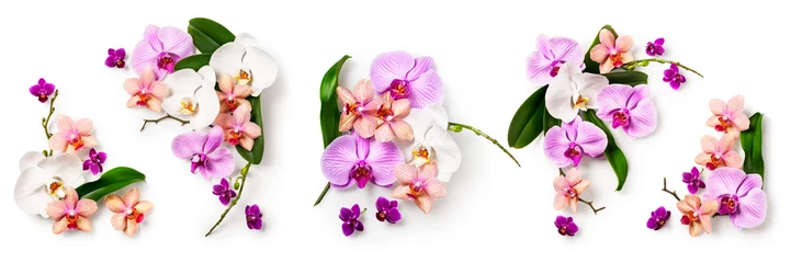 Foto op Canvas Orchidee bloem set © ifiStudio