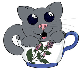 Mystified Kitten in a Teacup
