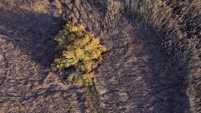 Aerial view, El Taray Lagoon, Quero, Toledo, Castilla la Mancha, Spain, Europe