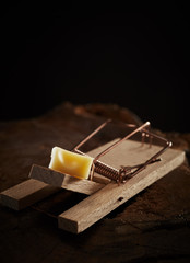 Wooden snap style mouse trap baited with cheese