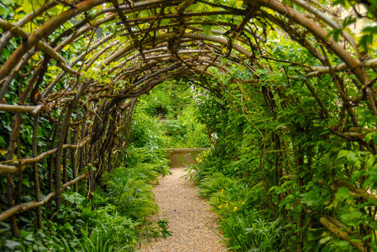 foliage tunel in the garden