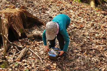 geocaching boy finds a well camouflaged cache in the forest © Mitch Shark