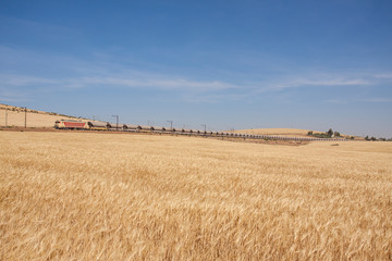 Freight train riding through a grain field