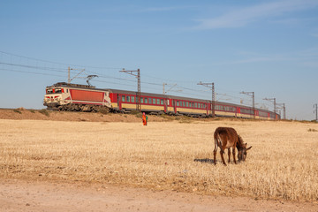 Passenger train, locals, and a donkey