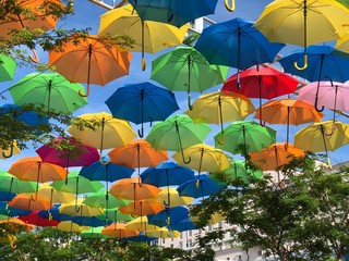 Umbrella Art