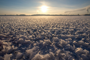 ледяные цветы