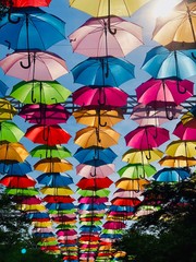 Umbrella Art