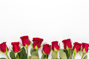 Red rose flowers on white background. Flat lay, top view, copy space.