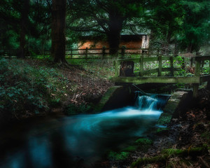 waterfall in the forest