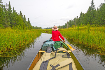 Paddling on a Grassy Wilderness Lake in the North Woods