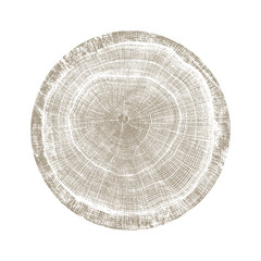 Wood textured surface of wavy ring pattern from a slice of tree. Grayscale wooden stump isolated on...