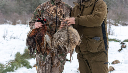 Hunting season, bird hunting. Hunter with trophies in their hands.