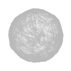 Wood textured surface of wavy ring pattern from a slice of tree. Grayscale wooden stump isolated on white.