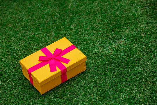 Beautiful yellow gift box with pink bow on green grass lawn