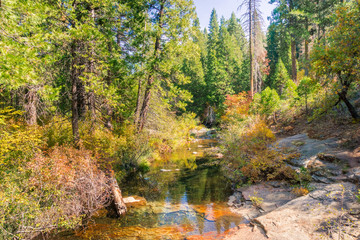 Colorful creek in Calaveras Big Trees State Park, California