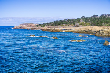 Coastal landscape in Point Lobos State Natural Reserve, Carmel-by-the-Sea, Monterey Peninsula,...
