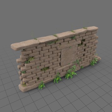 Overgrown wall