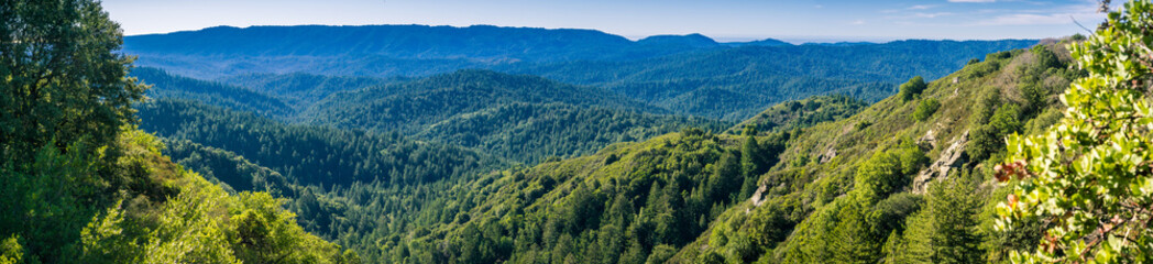 Panorama in Santa Cruz mountains with evergreen forests covering hills and valleys as seen from Castle Rock State Park, San Francisco bay area, California - obrazy, fototapety, plakaty