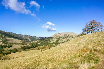 Fototapeta na wymiar Hiking trail through Sunol Regional Wilderness, San Francisco bay area, California