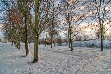 Parkowa droga zimą
