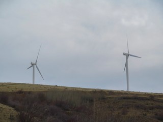 wind turbine in field