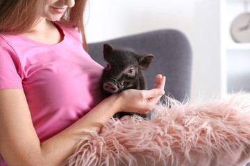 Woman with cute mini pig on sofa at home, closeup - obrazy, fototapety, plakaty