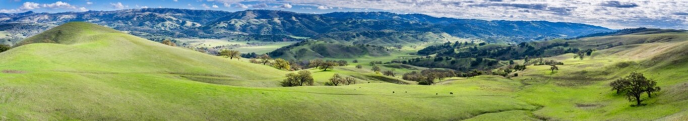 Beautiful panoramic view of the green hills south of San Jose, south San Francisco bay area, California - obrazy, fototapety, plakaty
