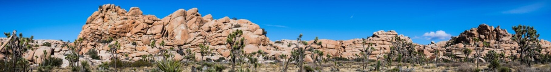 Panoramic view of a rocky ridge in Joshua Tree National Park, south California