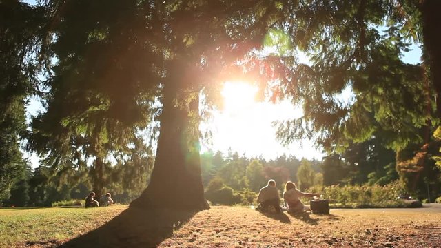 Couples at the park during sunset