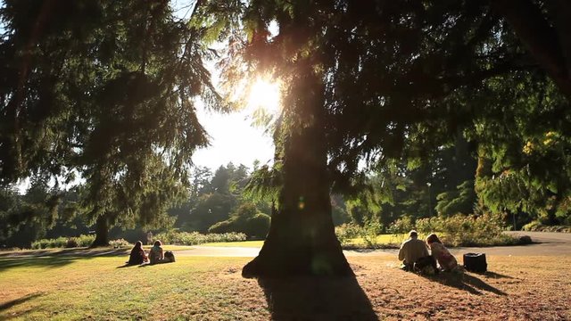 People at park during sunset, golden hour time