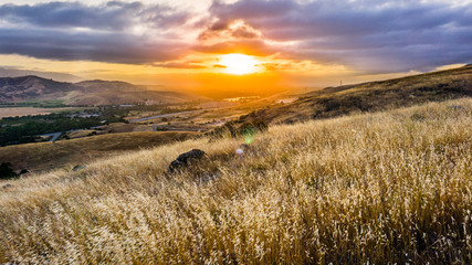 Dry grass shining in the sunset sun covering the hills of south San Francisco bay area; the Bayshore Freeway visible in the valley, San Jose, California - obrazy, fototapety, plakaty