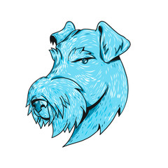 Drawing sketch style illustration head of a Airedale Terrier, Bingley Terrier or Waterside Terrier, the largest of all terriers also known as the “King of Terriers” on isolated white background.