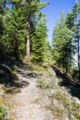 Fototapeta na wymiar Hiking trail to the top of Black Butte, close to Shasta Mountain, Siskiyou County, Northern California