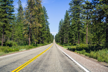 Fototapeta na wymiar Driving through Shasta National Forest, Siskiyou County, Northern California