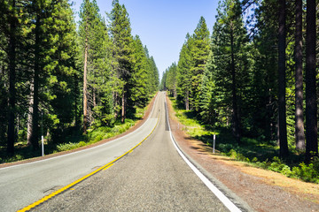 Fototapeta na wymiar Driving through Shasta National Forest, Siskiyou County, Northern California